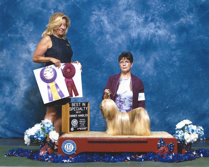 Lhasa Apso on winners podium