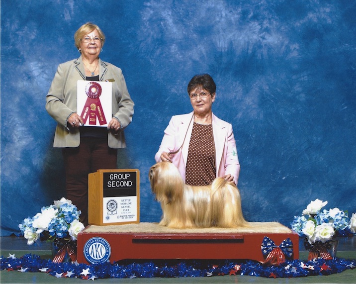 Lhasa Apso on winners podium