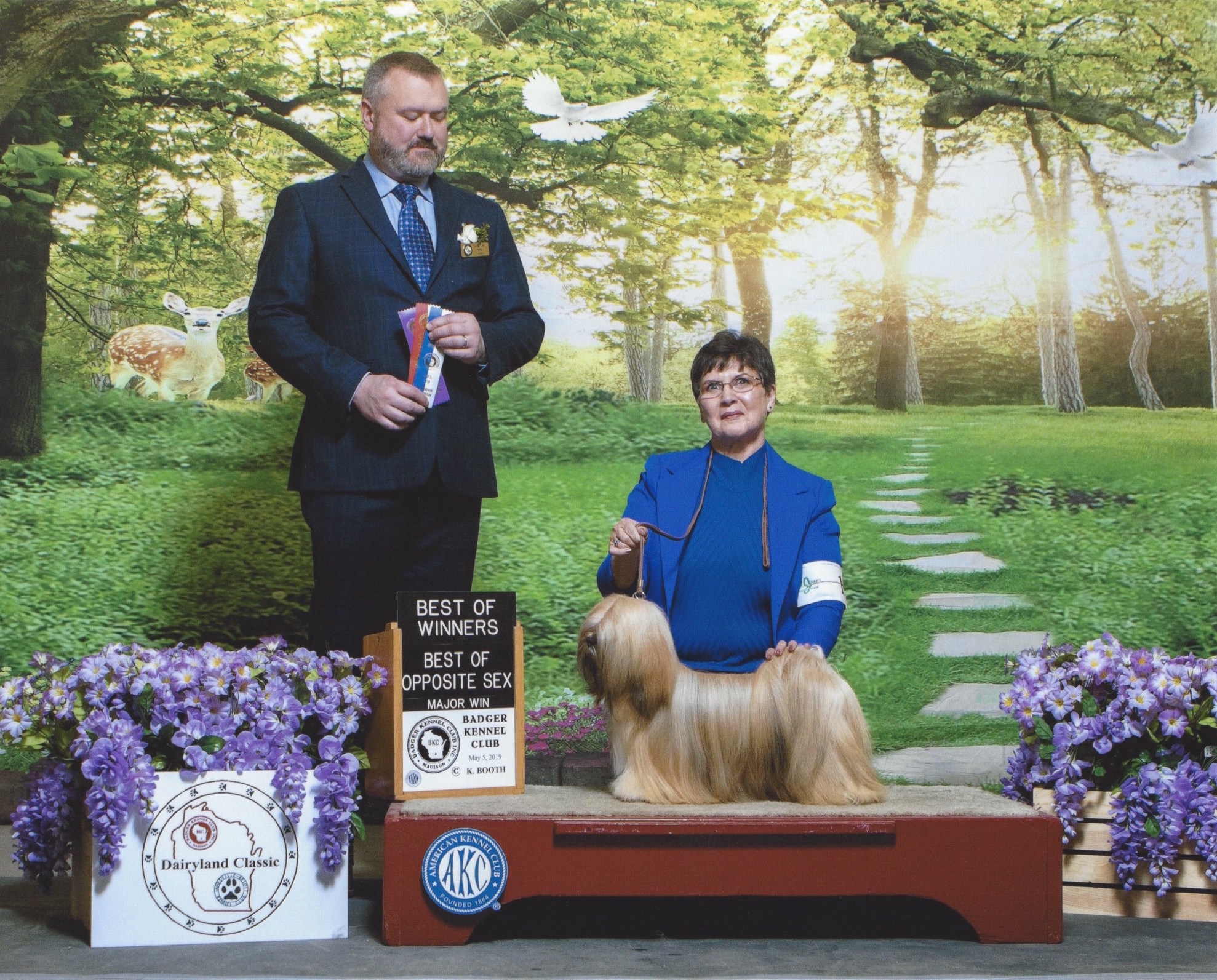 Lhasa Apso on winners podium