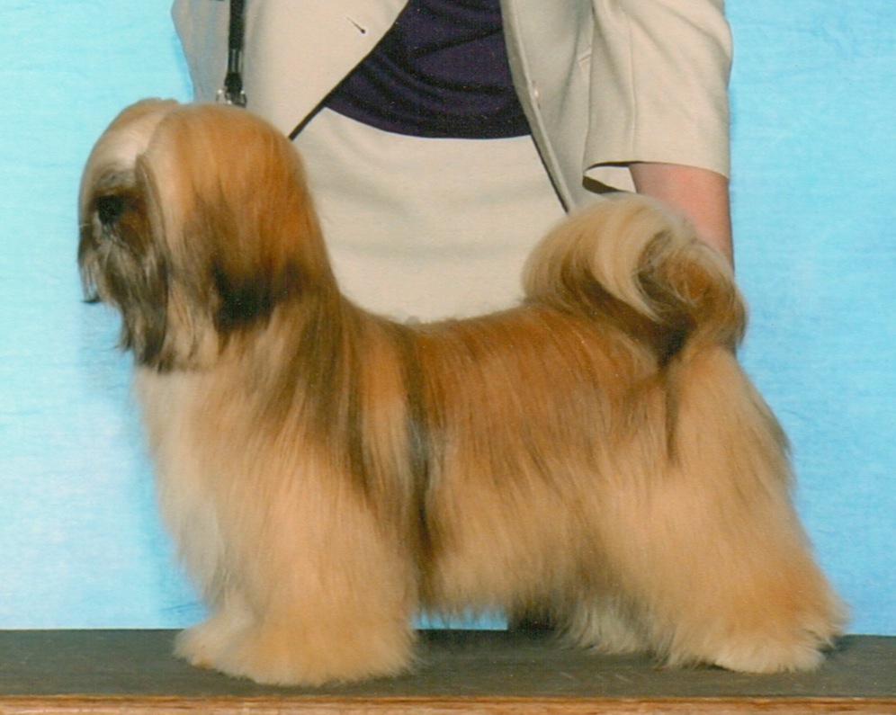 Dog shown from side.