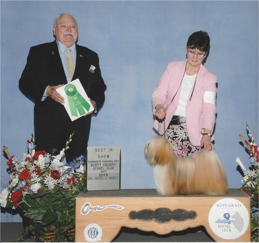 dog show photo with dog handler judge